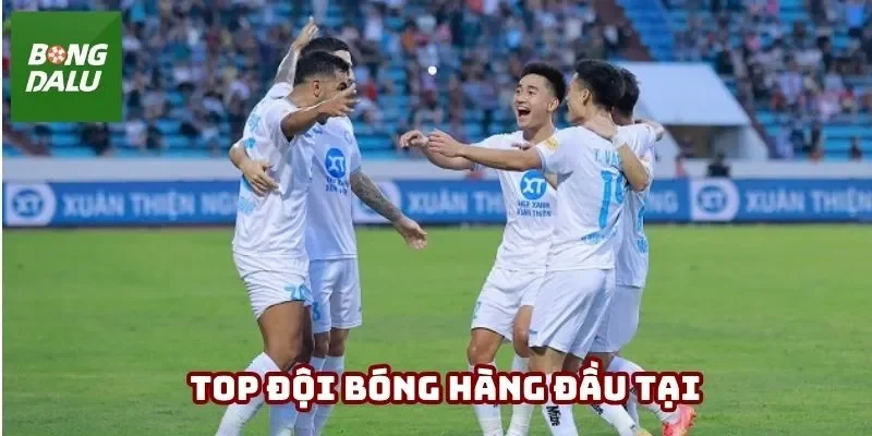 Tổng hợp thành tích các mùa V-League