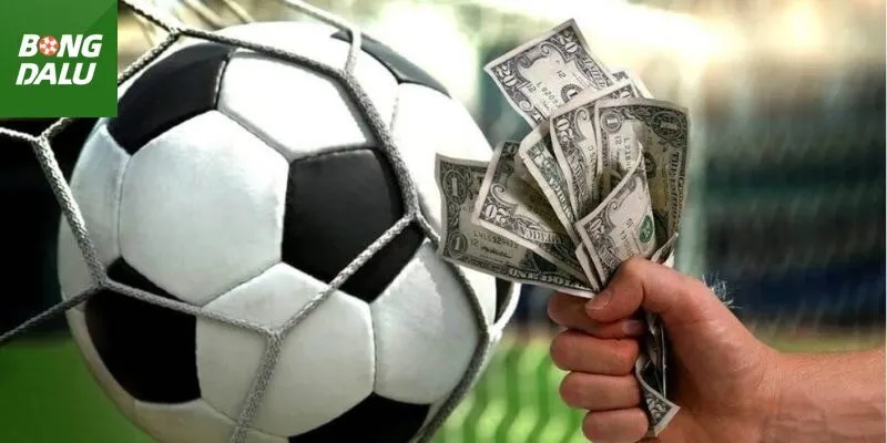 Bongdalu giải đáp về tỷ lệ kèo và chia sẻ cách chơi đơn giản